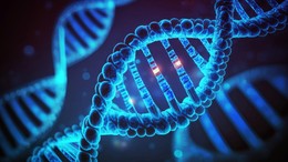 DNA verileri satışa çıkarıldı!