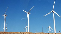 Avrupa'dan övgü: Türkiye bu işi iyi biliyor