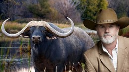 Milyoner isim, avcıyken av oldu!