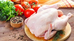 Beyaz et şirketlerine devasa ceza!
