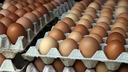 Et bayram sofrasına, Yumurta lüks raflara: Mutfakta büyük kriz