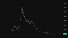 Yatırımcının parası hiç oldu!
