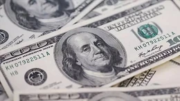 Dolar/TL sınırlı yükseldi, gözler Merkez Bankası’nda