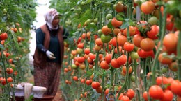 Vurgunu açıkladı: 10 liraya alıp 5 katına satıyorlar!