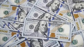 Dolar tahtını sarsıyor, ama kimse koltuğa oturamıyor