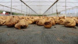 'Türk malı' imajı tehlikede! Artış yaşandı