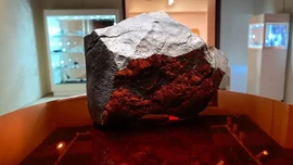24 kiloluk Mars meteoru bilimi ve parayı karşı karşıya getirdi