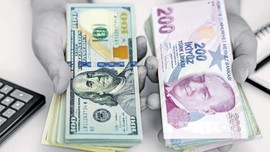 Kredi büyümesinde fren: Suçlu yabancı para krediler