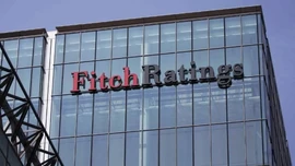 Fitch: Türkiye ekonomisi dayanıklı, büyüme ve rezervler yükseliyor