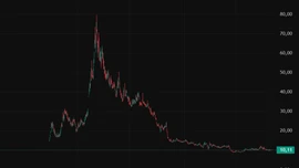 Yatırımcının parası hiç oldu!