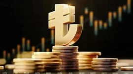 Dijital Türk Lirası'nda yeni aşama!