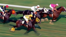 TVF, at yarışı bahislerini devretti