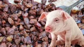 Cuma çıkışı 3 bin kişiye yarım ton domuz eti yedirdi!