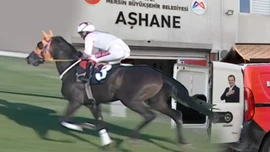 Belediyeden skandal: Şampiyon yarış atını vatandaşa yedirmişler!