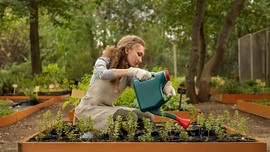 Hobi bahçeleri furyasına sert fren: Af yok, ceza çok!