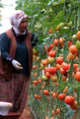 Vurgunu açıkladı: 10 liraya alıp 5 katına satıyorlar!