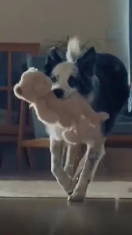 İnceleme başlatılmıştı: Bosch’un Anneler Günü reklamı yayından kaldırıldı