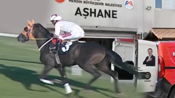 Belediyeden skandal: Şampiyon yarış atını vatandaşa yedirmişler!