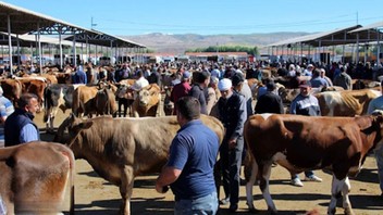 Kurbanlık piyasasının değeri 330 milyar lira...