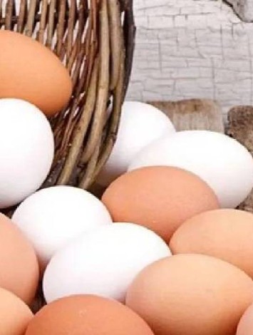 Yumurta ihracatı için kritik karar!