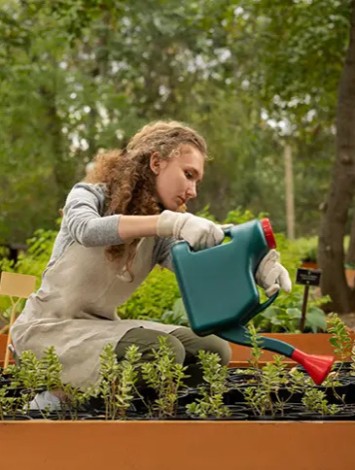 Hobi bahçeleri furyasına sert fren: Af yok, ceza çok!