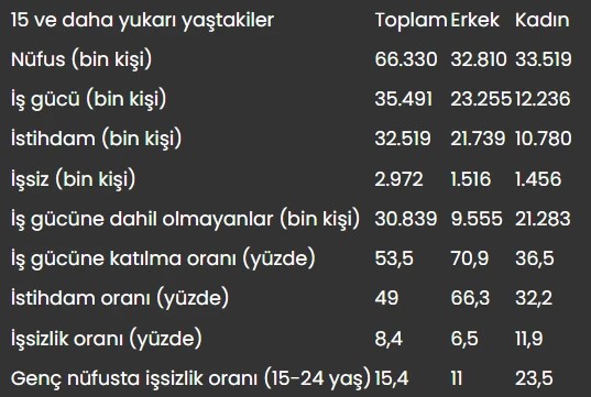 TÜİK işsizlik verilerini açıkladı - Resim : 1