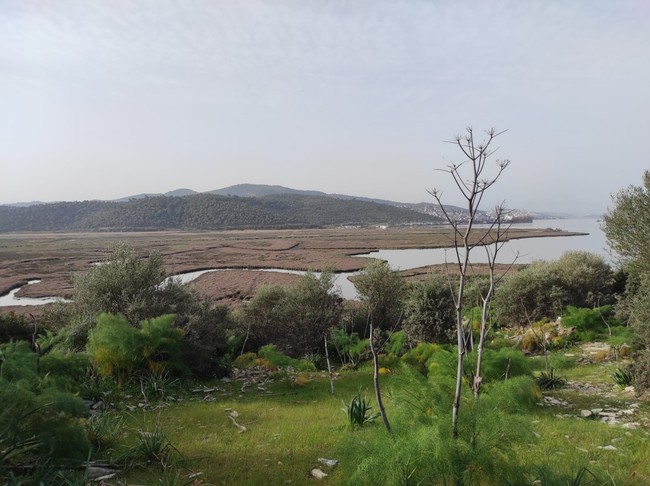 'Yakamoz Marina' projesine yargı freni! Mahkeme bir projeye daha 'dur' dedi… - Resim : 4
