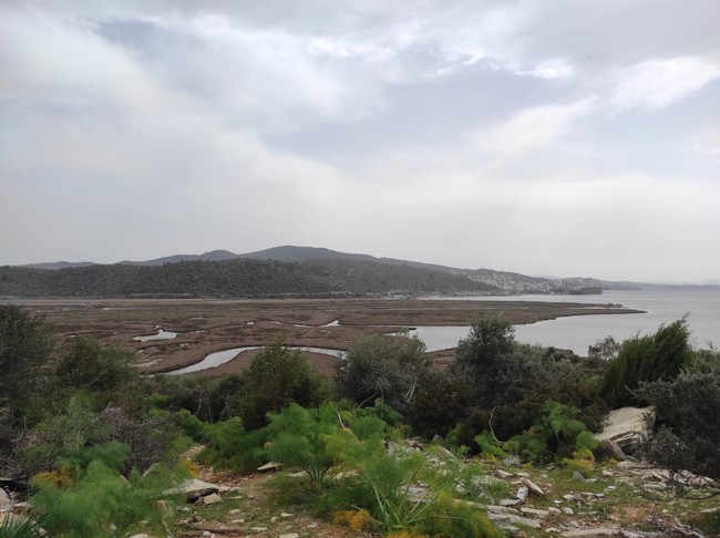 'Yakamoz Marina' projesine yargı freni! Mahkeme bir projeye daha 'dur' dedi… - Resim : 3