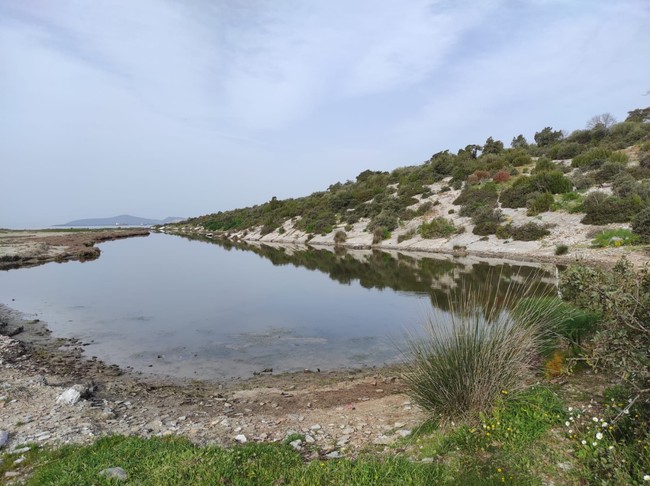 'Yakamoz Marina' projesine yargı freni! Mahkeme bir projeye daha 'dur' dedi… - Resim : 1