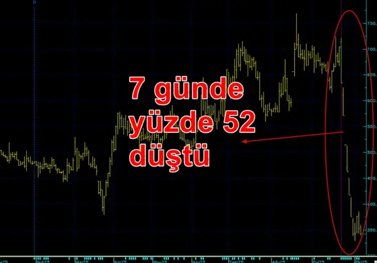 Borsada 'KAP vurgunu! Yatırımcı parasının yarısını kaybetti! - Resim : 1