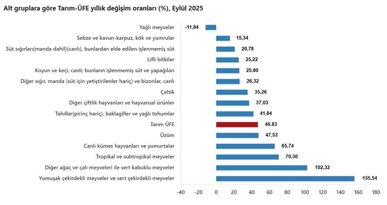 Tarımda eylül ayı enflasyonu belli oldu! - Resim : 3
