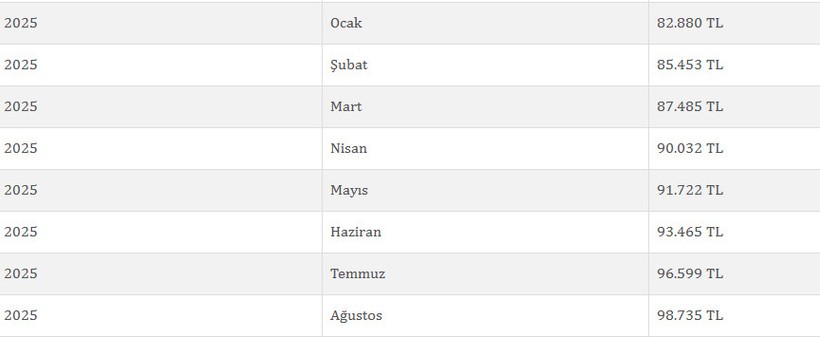 İstanbul'da yaşama maliyeti bu rakama dayandı! - Resim : 1
