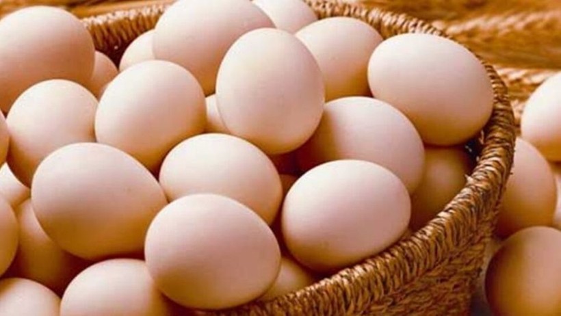 Yumurta ihracatında yeni dönem: Fon kesintisi son buluyor