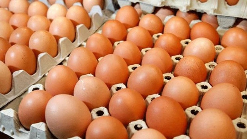 Fiyatlar eriyor, yumurtalar ucuzluyor