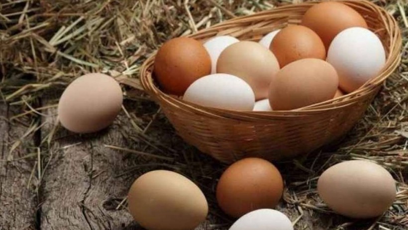 Maliyetler zirvede, yumurta zamlanıyor
