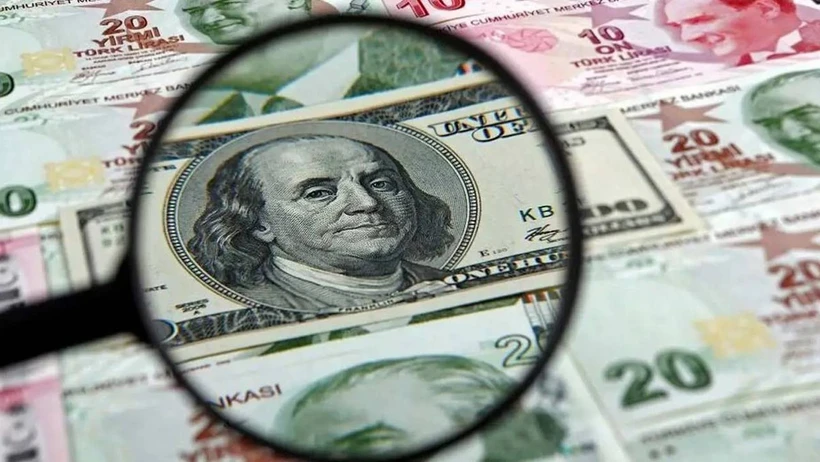 Goldman Sachs: Dolar/TL 12 ayda 45 TL'ye çıkacak