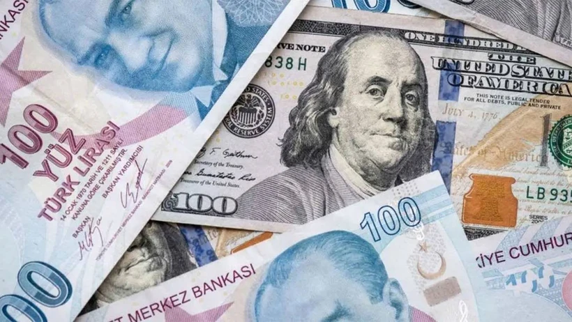 Goldman Sachs: Dolar/TL 12 ayda 45 TL'ye çıkacak
