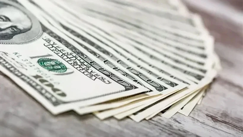 Goldman Sachs: Dolar/TL 12 ayda 45 TL'ye çıkacak