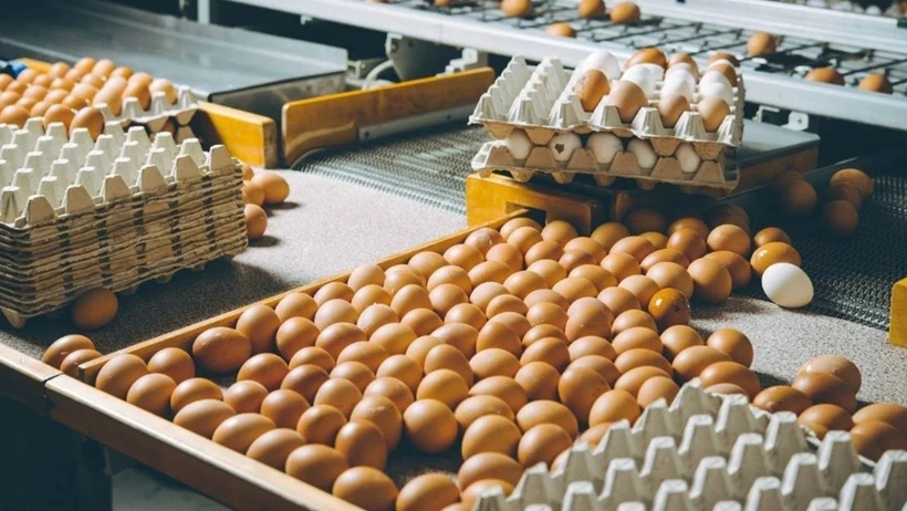 3 ayda yüzde 100 zam: Yumurta fiyatları uçtu, mutfak yandı