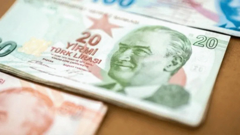 Eski ve yeni 20 TL banknotları yan yana kullanılacak