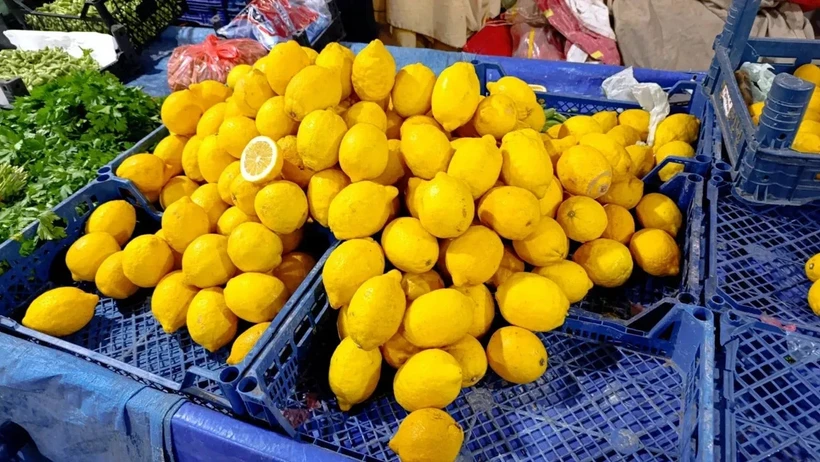 2025&rsquo;te fiyatlar zirvede: Limon, Havu&ccedil; ve Mandalina marketleri salladı