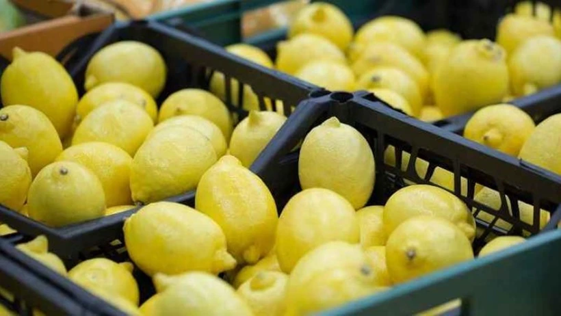 2025&rsquo;te fiyatlar zirvede: Limon, Havu&ccedil; ve Mandalina marketleri salladı