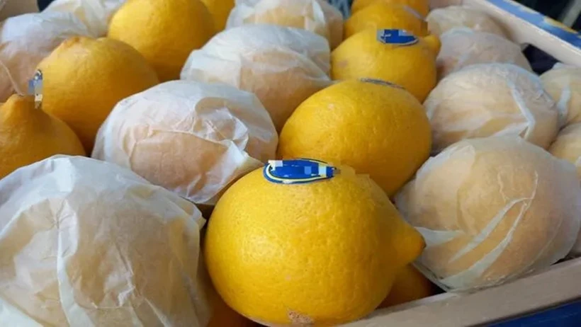 2025&rsquo;te fiyatlar zirvede: Limon, Havu&ccedil; ve Mandalina marketleri salladı