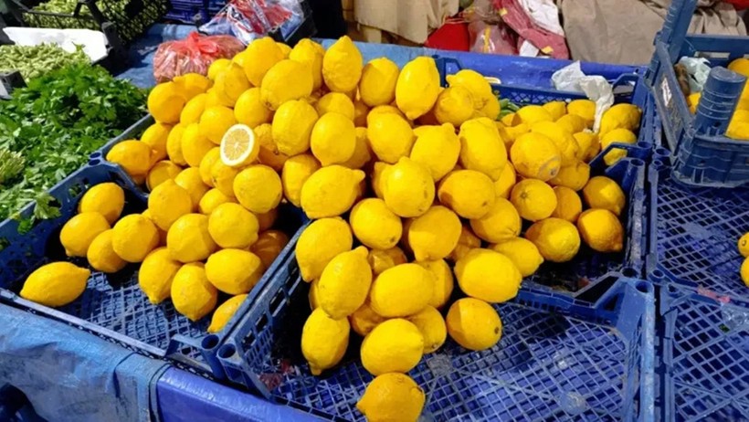 2025&rsquo;te fiyatlar zirvede: Limon, Havu&ccedil; ve Mandalina marketleri salladı