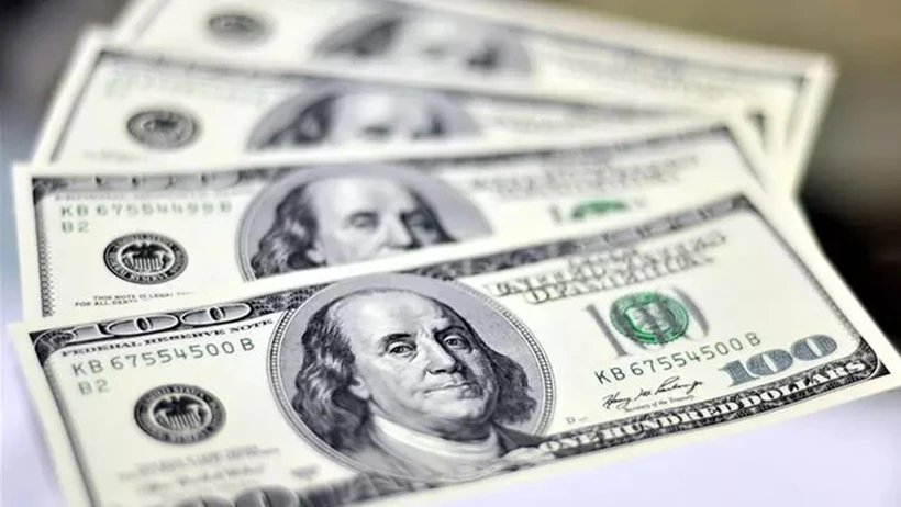 Dolar/TL durağan, k&uuml;resel riskler y&uuml;kseliyor