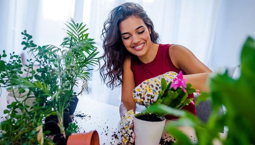 ABD'den Türkiye'ye yeni 'meslek' transferi! İşte kazancı