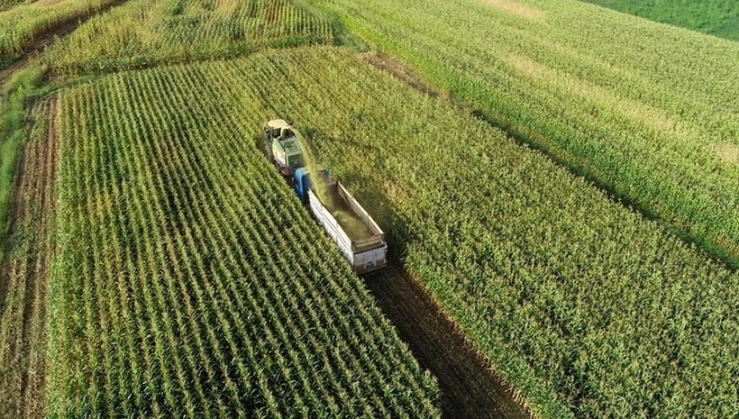 Tarım girdileri zirve yaptı: Veteriner harcamaları arttı