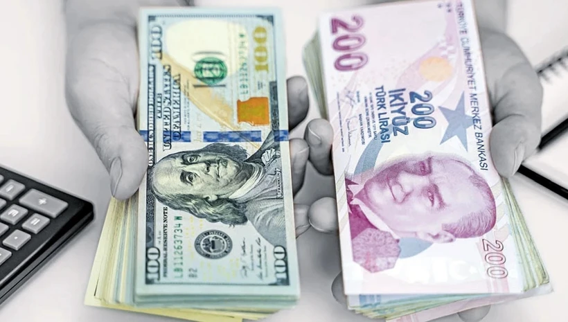 Kredi büyümesinde fren: Suçlu yabancı para krediler