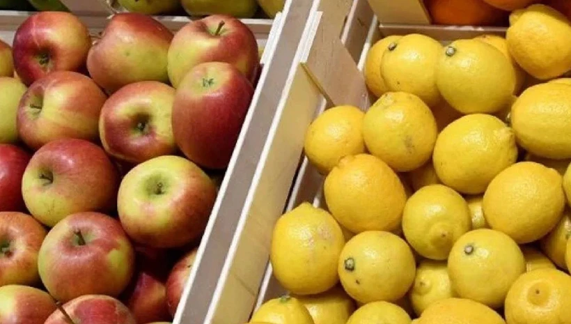 Gıda arzı güvende: Limon ve Elma ihracatı yakından takip edilecek