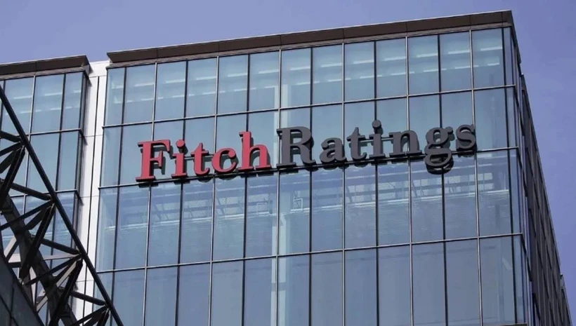 Fitch: Türkiye ekonomisi dayanıklı, büyüme ve rezervler yükseliyor